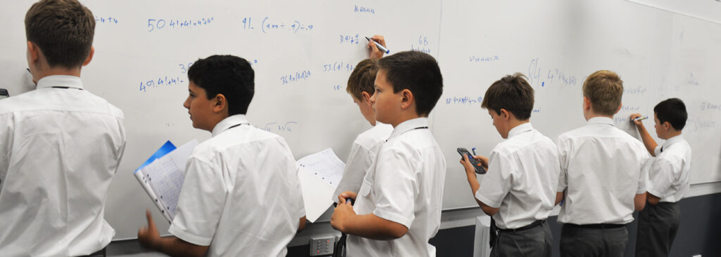 Mathematics Mindset