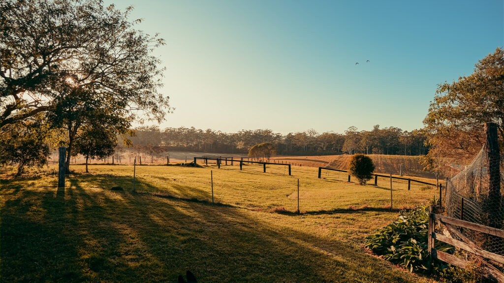 Eungai Creek