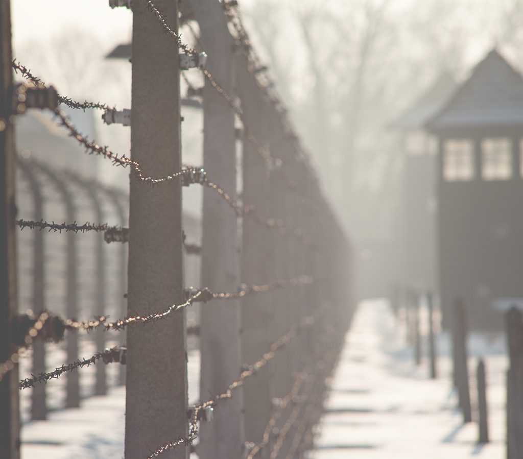 Confronting the Holocaust: Lessons for the 21st Century