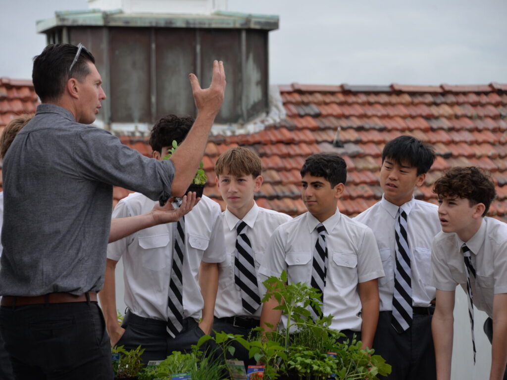 Growing Green Shoots and Creative Minds