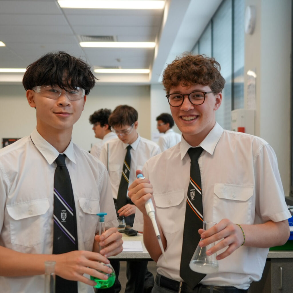 Term 4, Week 4