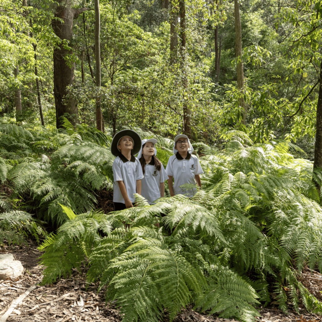Lindfield Preparatory (K-6) Open Day
