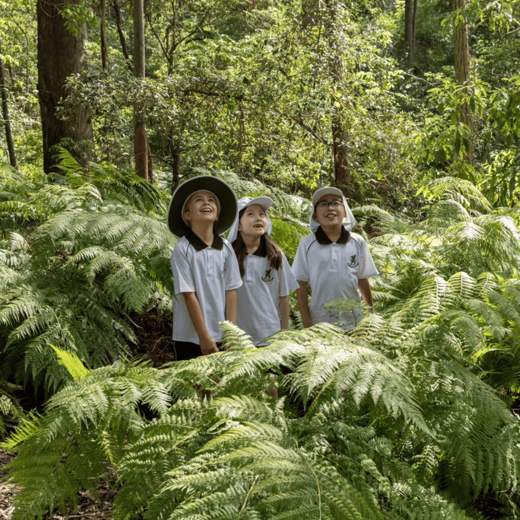 Lindfield Take Flight at Newington Experience Afternoon