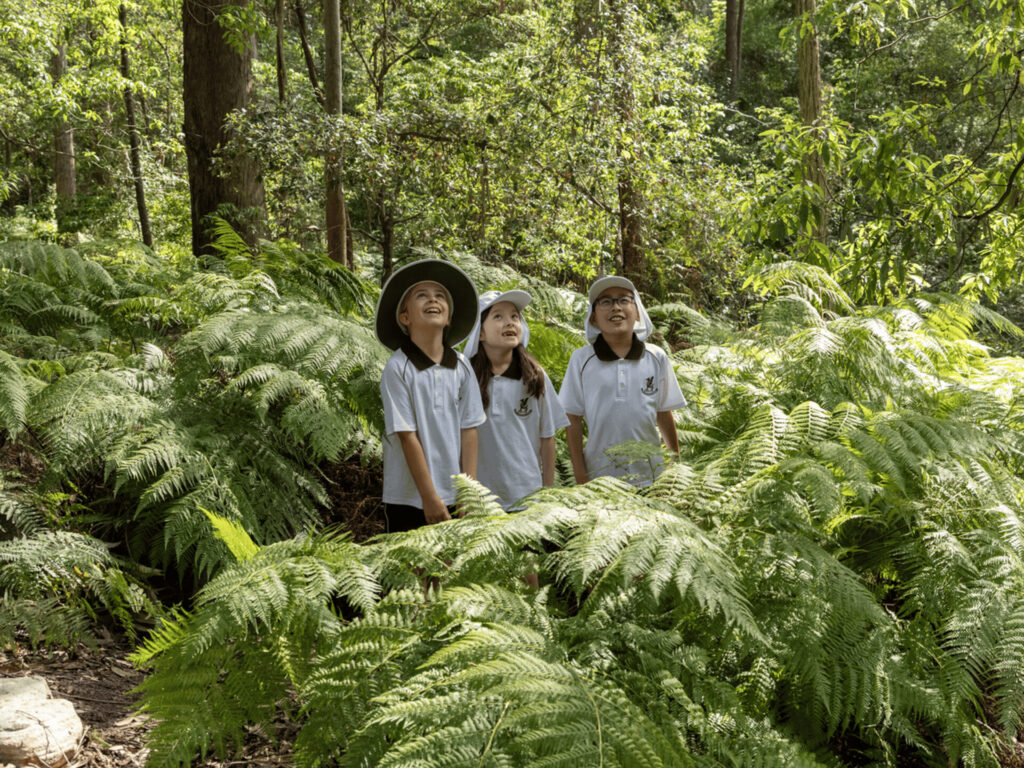 Lindfield Prep (K-6) Open Afternoon