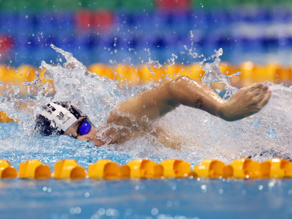 Newington dives into AAGPS Swimming season final 