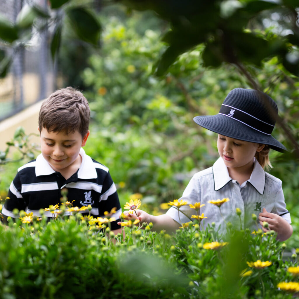 Lindfield Preparatory K-6