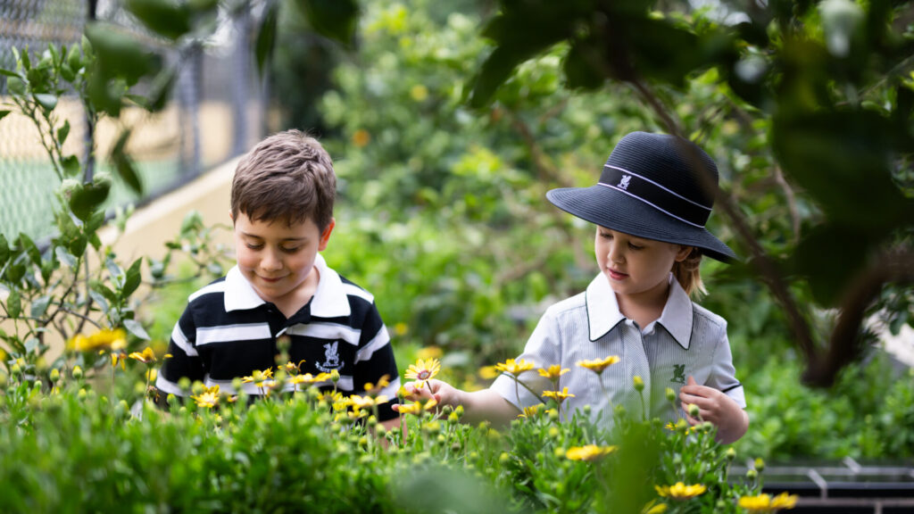 Enrolling Girls and Boys at Lindfield K–6