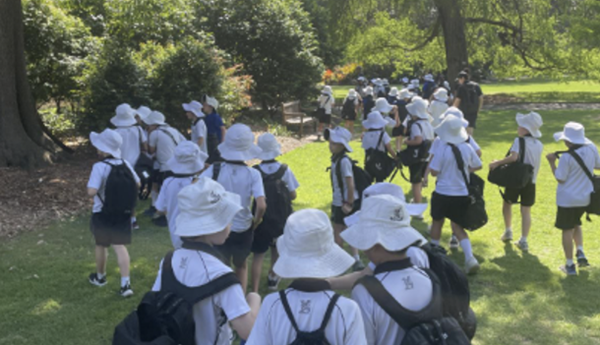 Term 4, Week 2