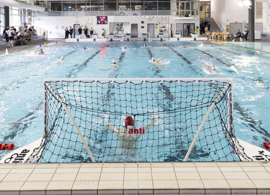 Newington water polo players dive across the ditch