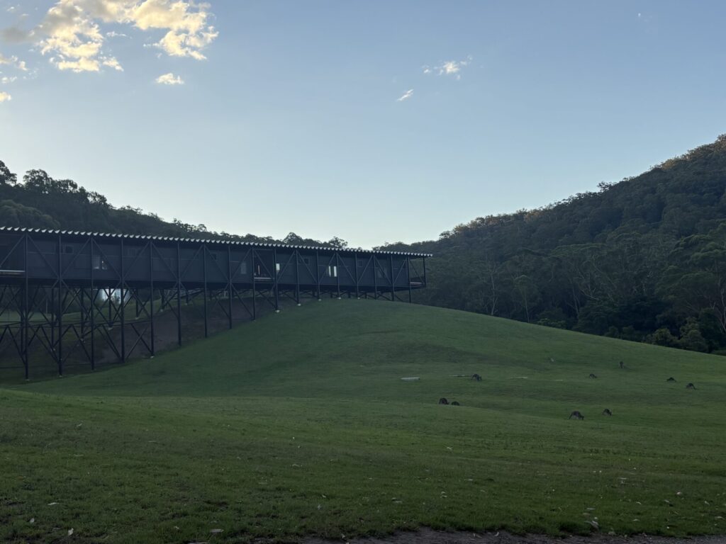 Budding artists immerse themselves at Bundanon