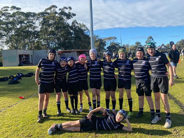 Term 3, Week 6